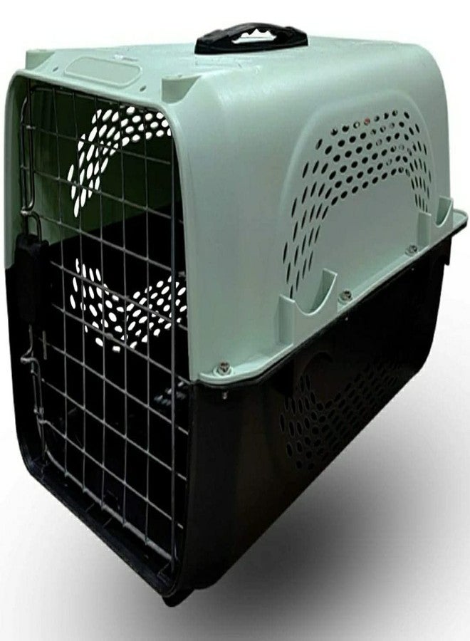 Petlicious & More® Pet Travel Carrier Dog Cat Rabbit Basket Plastic Handle Hinged Door Folding Collapsible Transport Box Cage Size 19.5 x 13 x 12.5 Inch for Puppy Cats (LiteGreen) - Image 1